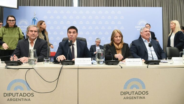 Imagen editorial relacionada con: El oficialismo obtuvo dictamen para recortar los subsidios al gas por Zonas Frías en Diputados
