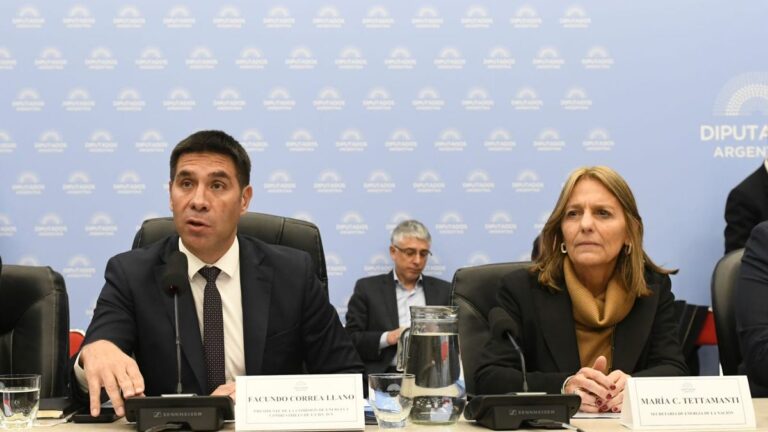 Imagen editorial relacionada con: Con el respaldo de la secretaria de Energía en Diputados, el Gobierno avanzó en la reforma del régimen de zona fría