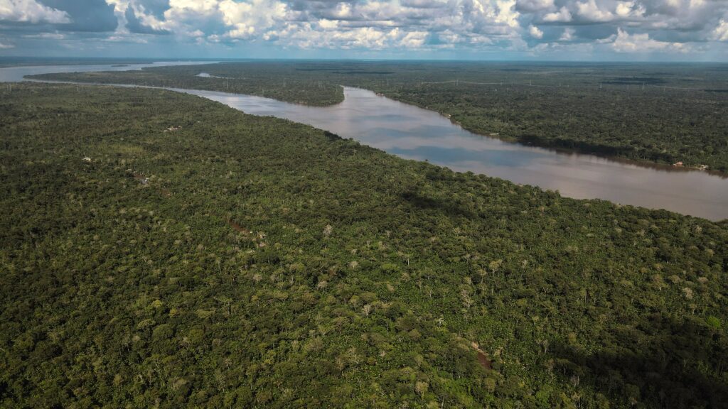 Imagen editorial relacionada con: Brasil alcanzó en 2025 el nivel de deforestación más bajo en la selva atlántica