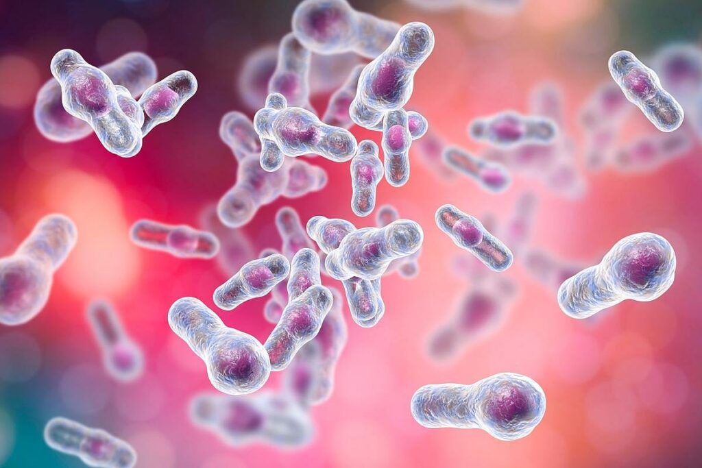 Imagen editorial relacionada con: Argentina inicia ensayos de Fase III para una vacuna contra la bacteria Clostridioides difficile