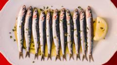 Imagen editorial relacionada con: Las sardinas se consolidan como superalimento clave por su alto valor nutricional y bajo costo