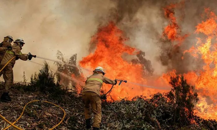 Honduras: 640 incendios forestales arrasan 30.000 hectáreas de bosque