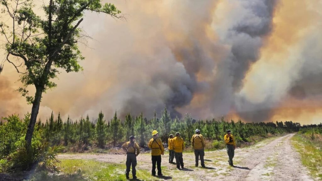 Incendios forestales récord azotan el sur de Estados Unidos por