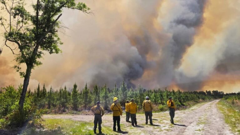 Incendios forestales récord azotan el sur de Estados Unidos por