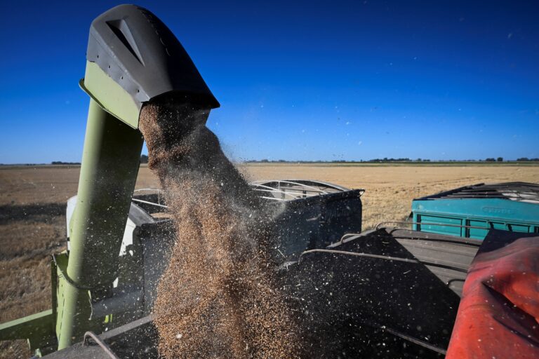 El Gobierno redujo retenciones a granos y biocombustibles por decreto
