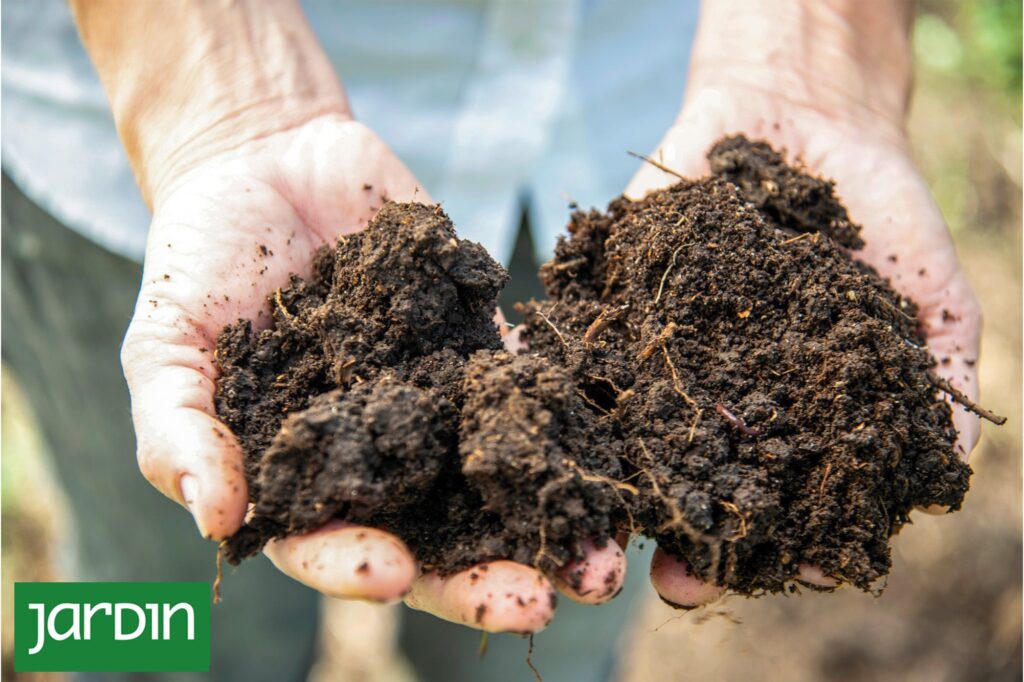 El suelo de otoño define la sanidad vegetal de la próxima temporada