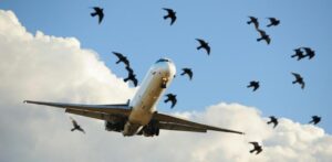 Uruguay proyecta un nuevo aeropuerto internacional en Rocha