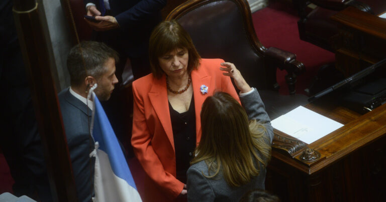 Tensión en el Senado: Bullrich y Di Tullio cruzaron datos por