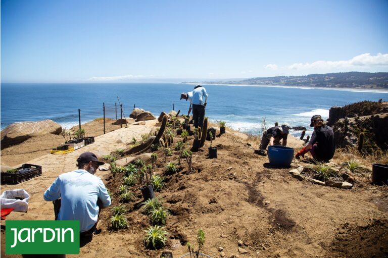 Chile consolida en Punta de Lobos un modelo global de conservación
