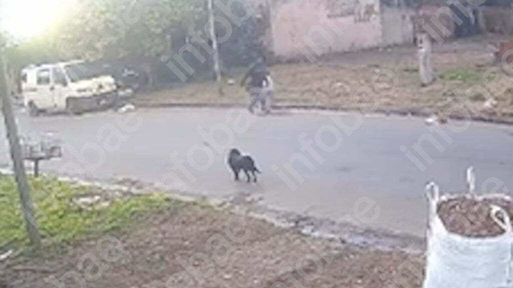 Detuvieron al femicida de Junín tras una fuga de 90 kilómetros