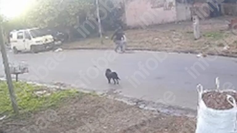 Detuvieron al femicida de Junín tras una fuga de 90 kilómetros