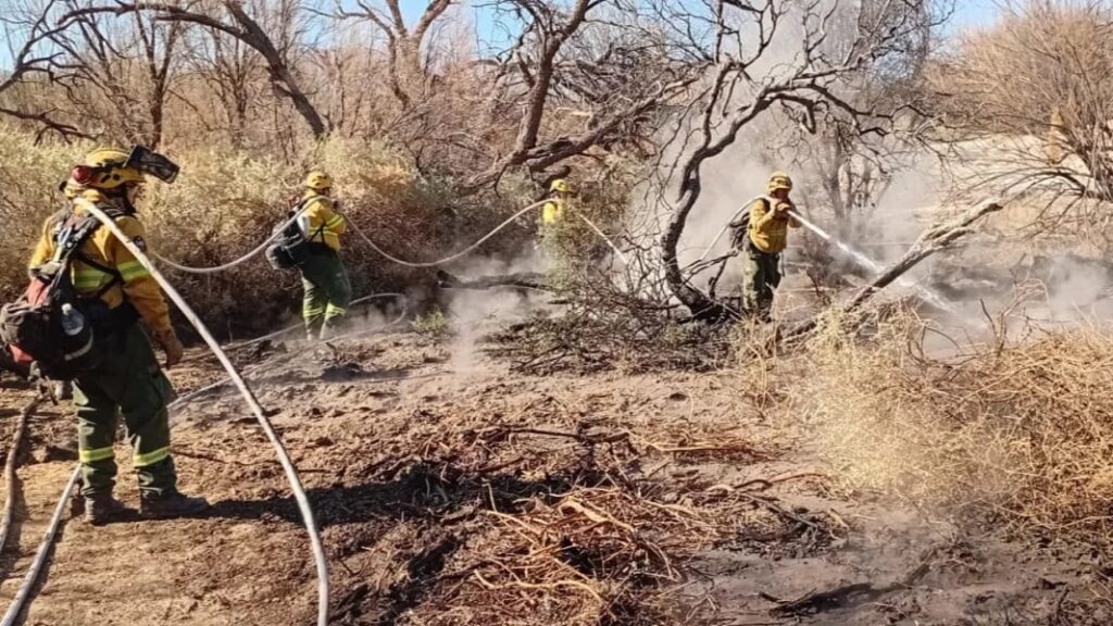 Detuvieron a un sospechoso por los incendios forestales en Cafayate