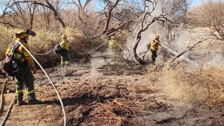 Detuvieron a un sospechoso por los incendios forestales en Cafayate