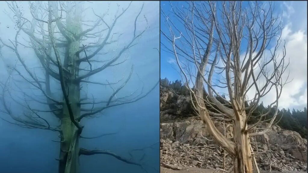 Histórica bajante en Chubut expone ruinas ocultas en el Amutui Quimey
