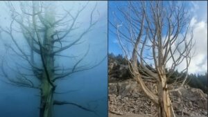 Histórica bajante en Chubut expone ruinas ocultas en el Amutui Quimey