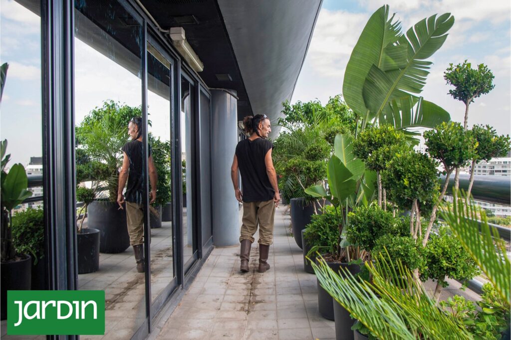 Paisajismo urbano: por qué el exceso de plantas reduce los jardines