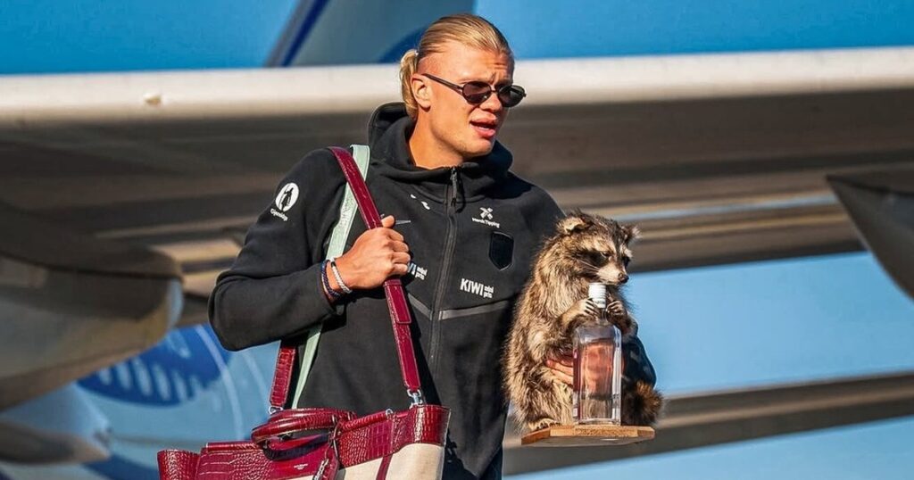 Haaland regresó a Noruega con un mapache tras el Mundial 2026
