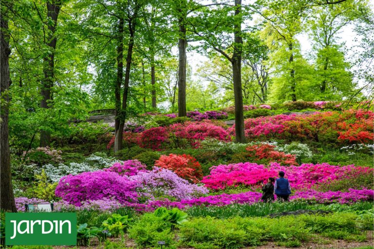 Siete jardines botánicos globales lideran la preservación vegetal